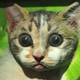 Image for article titled Casio's Really Nailed Glasses-Free 3D Photos